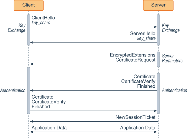 TLS 1.3 handshake that establishes a PSK